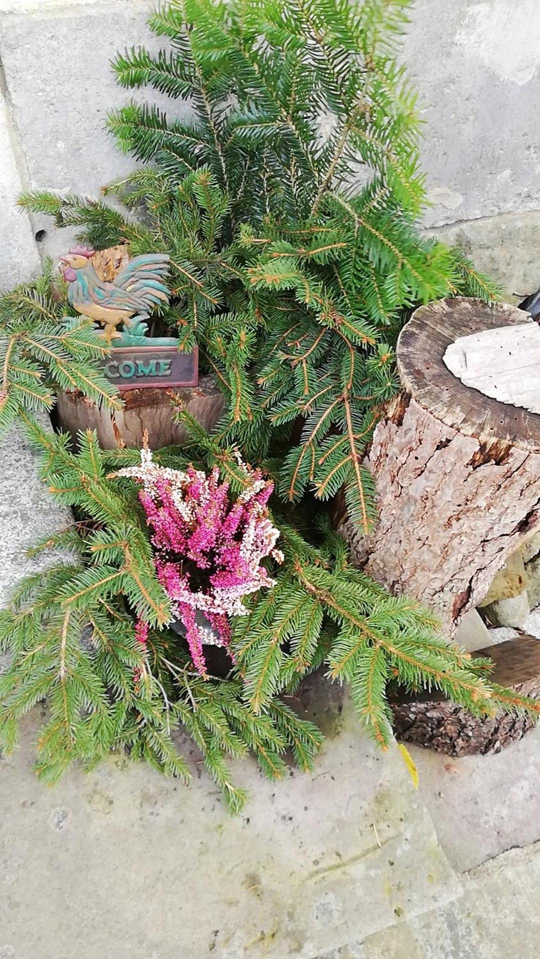 Lichtenhainer Hof Lichtenhain  Zewnętrze zdjęcie