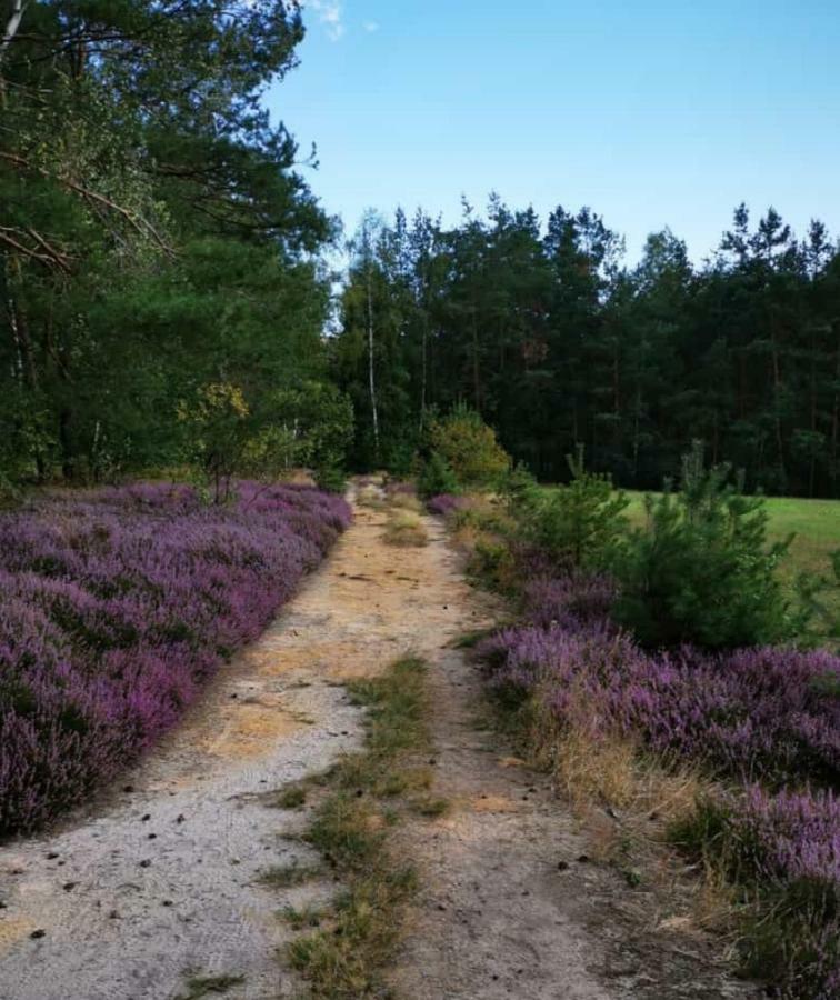 Lichtenhainer Hof Lichtenhain  Zewnętrze zdjęcie
